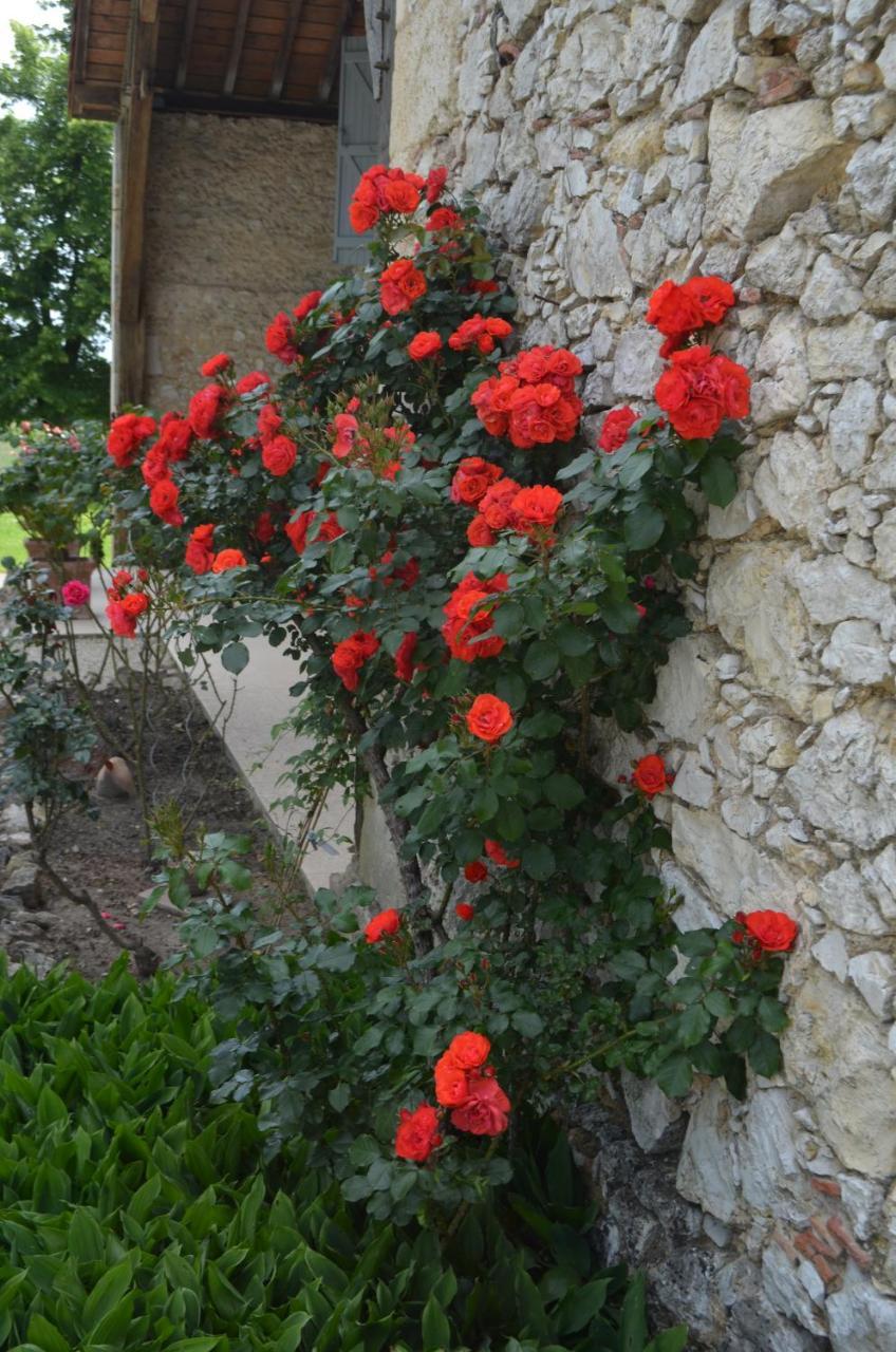 Le Poutic Gite Et Maison D'Hotes Creon-d'Armagnac 外观 照片